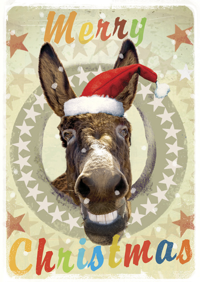 Merry Christmas Donkey Pack of 5 Greeting Cards by Max Hernn - Click Image to Close